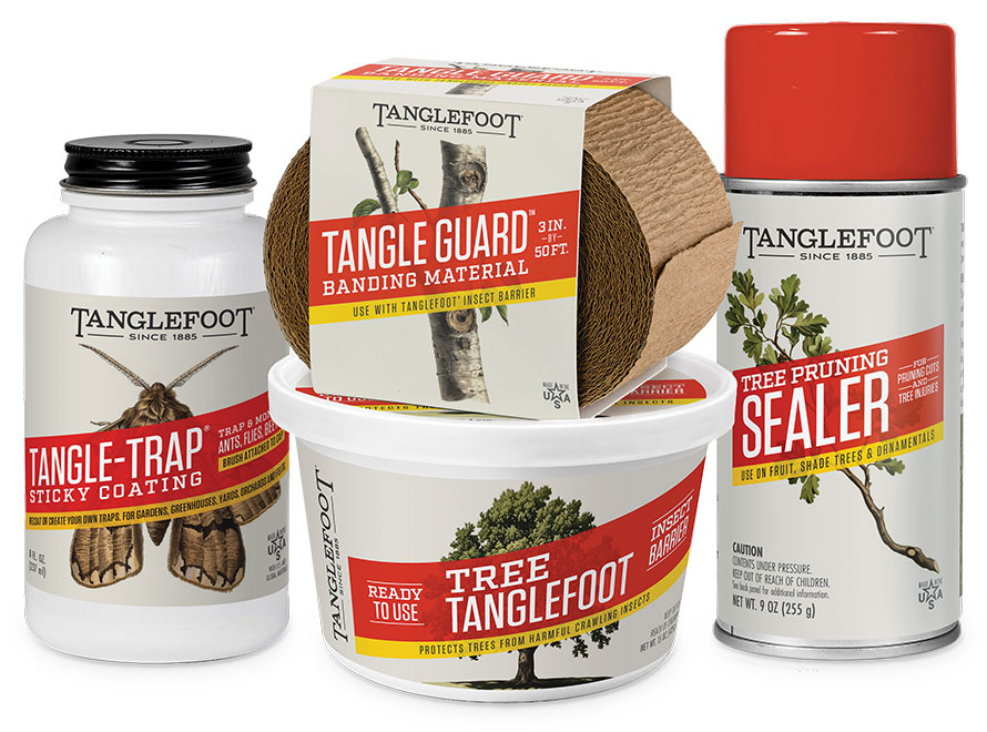 Tanglefoot Products