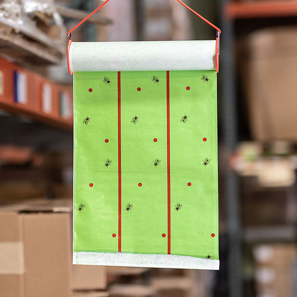 Tangle-Trap Fly Roll In Use