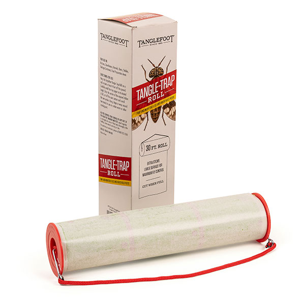 Tangle Trap Fly Roll Product