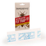 Tanglefoot Window Fly Trap Product